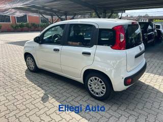 FIAT Panda usata, con ESP
