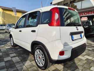 FIAT Panda usata, con Airbag Passeggero