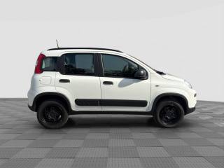 FIAT Panda usata 5