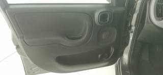 FIAT Panda usata 44