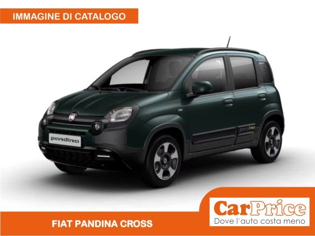 FIAT Pandina usata, con ABS