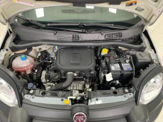 FIAT Panda Cross usata, con Chiusura centralizzata senza chiave