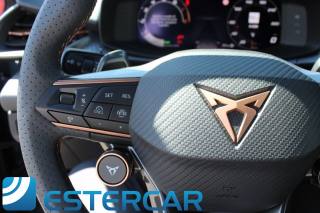 CUPRA Terramar usata, con Frenata d