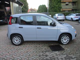 FIAT Panda usata, con Climatizzatore