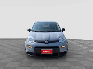 FIAT Panda usata 7