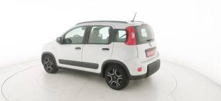 FIAT Panda usata 23