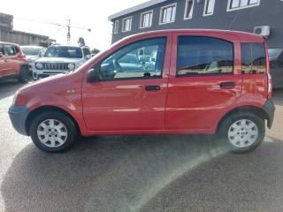 FIAT Panda usata 4
