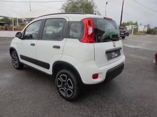 FIAT Panda usata, con Controllo trazione