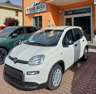 FIAT Panda usata, con ESP