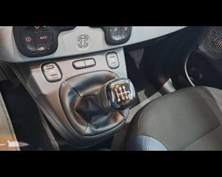 FIAT New Panda usata, con Volante multifunzione