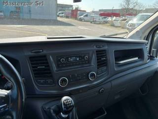 FORD Transit usata 12