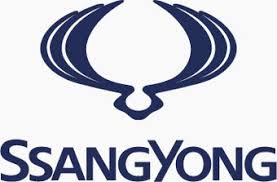 SSANGYONG usate